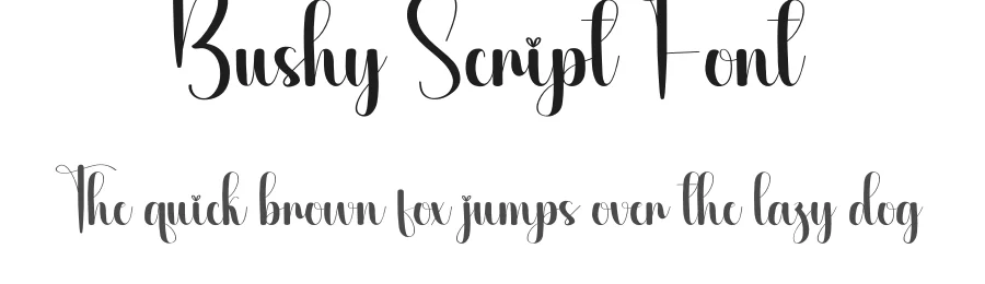 Bushy Script Font by creativeletter — Script Handwritten Font