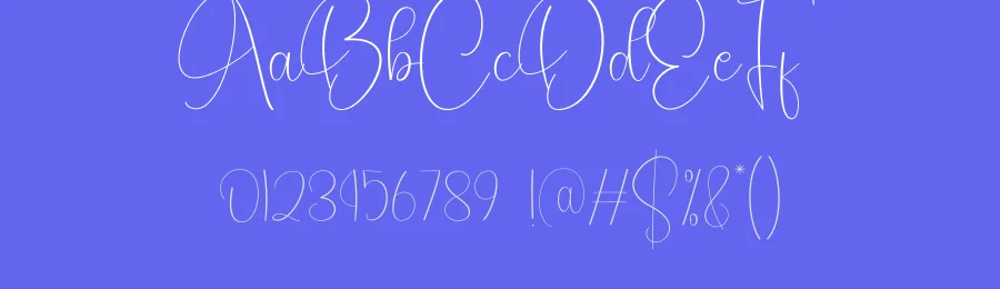 Busines Signature Script Font by creativeletter — Script Handwritten Font — thumbnail 3