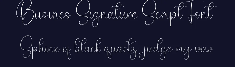 Busines Signature Script Font by creativeletter — Script Handwritten Font — thumbnail 2