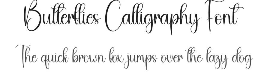 Butterflies Calligraphy Font by creativeletter — Script Handwritten Font