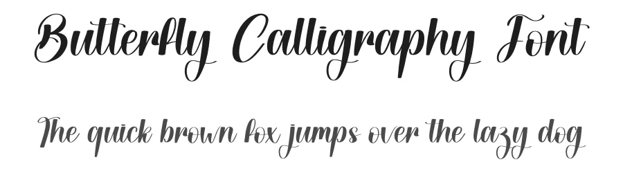 Butterfly Calligraphy Font by creativeletter — Script Handwritten Font