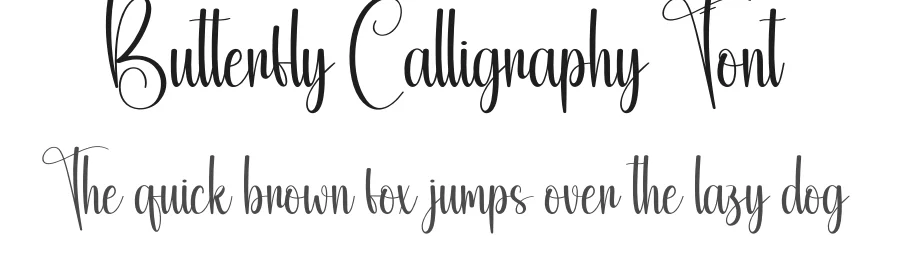 Butterfly Calligraphy Font by creativeletter — Script Handwritten Font