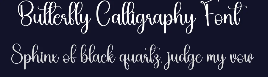 Butterfly Calligraphy Font by andikastudio — Script Handwritten Font — thumbnail 2