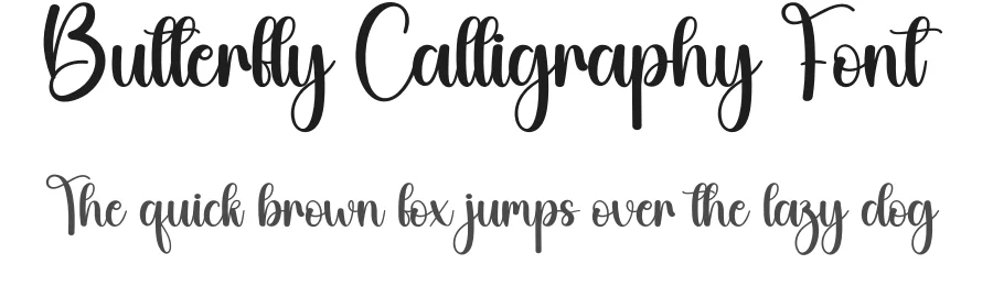 Butterfly Calligraphy Font by creativeletter — Script Handwritten Font
