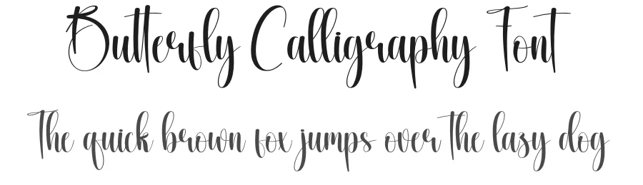 Butterfly Calligraphy Font by creativeletter — Script Handwritten Font