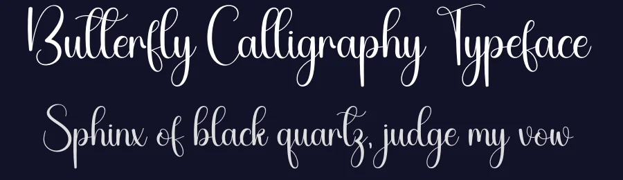 Butterfly Calligraphy Typeface by creativeletter — Script Handwritten Font — thumbnail 2