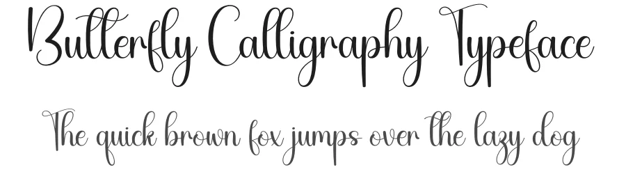 Butterfly Calligraphy Typeface by creativeletter — Script Handwritten Font
