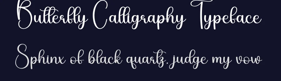 Butterfly Calligraphy Typeface by andikastudio — Script Handwritten Font — thumbnail 2
