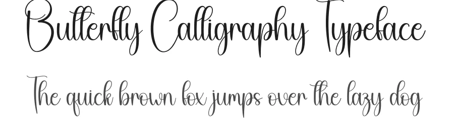 Butterfly Calligraphy Typeface by creativeletter — Script Handwritten Font