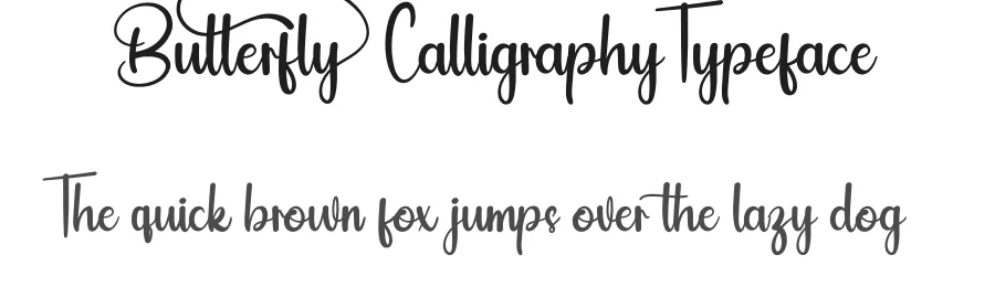 Butterfly Calligraphy Typeface by Adeindrawan — Script Handwritten Font