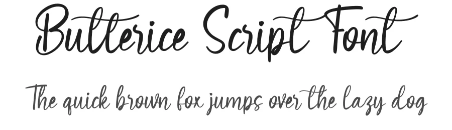 Butterice Script Font by creativeletter — Script Handwritten Font