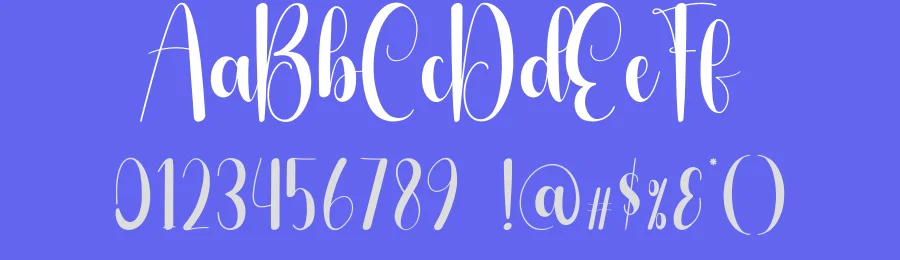 Buttermilk Script Typeface by creativeletter — Script Handwritten Font — thumbnail 3
