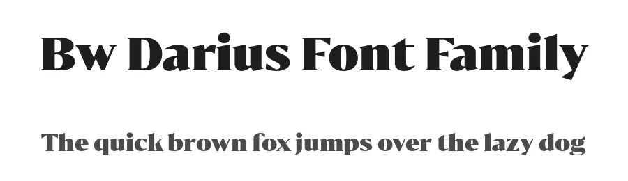Bw Darius Font Family by Alberto Romanos — Display Font
