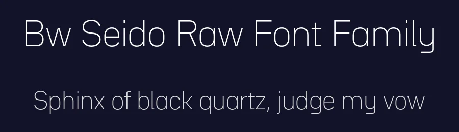 Bw Seido Raw Font Family by Alberto Romanos — Decorative Font — thumbnail 2