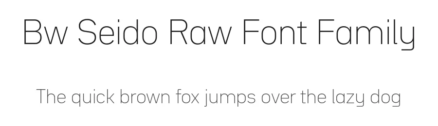 Bw Seido Raw Font Family by Alberto Romanos — Decorative Font