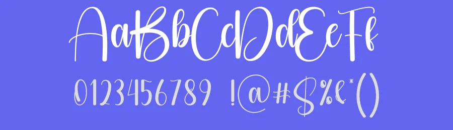 Byebeach Script Font by creativeletter — Script Handwritten Font — thumbnail 3