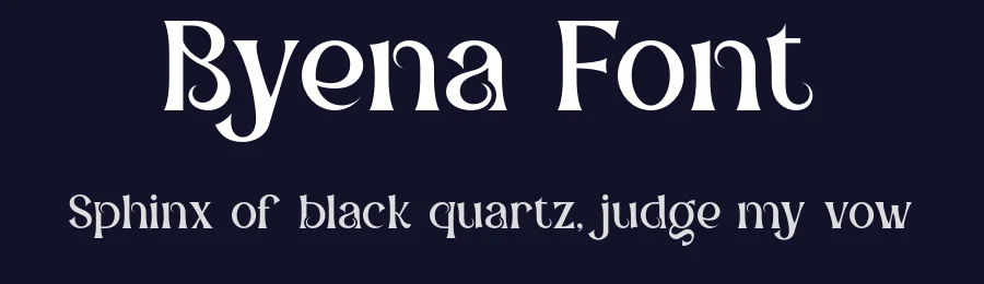 Byena Font by ErmediaStudio — Serif Font — thumbnail 2