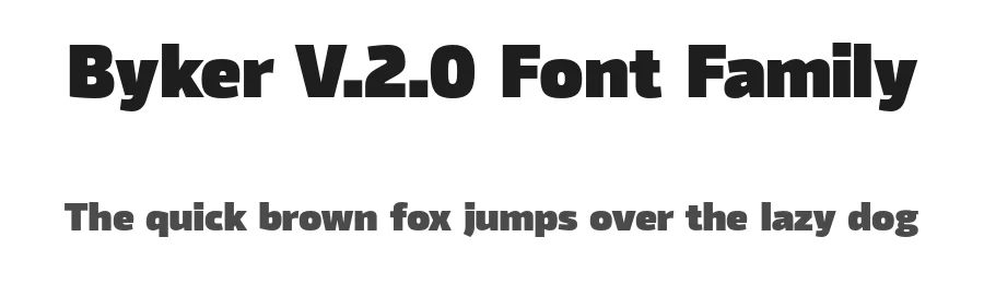 Byker V.2.0 Font Family by The Northern Block — Sans Serif Font