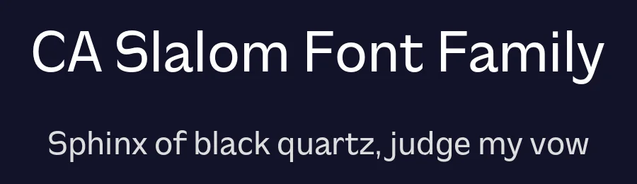 CA Slalom Font Family by Cape Arcona Type Foundry — Sans Serif Font — thumbnail 2