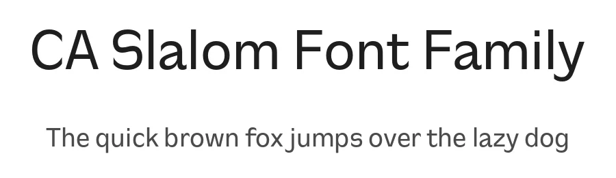 CA Slalom Font Family by Cape Arcona Type Foundry — Sans Serif Font