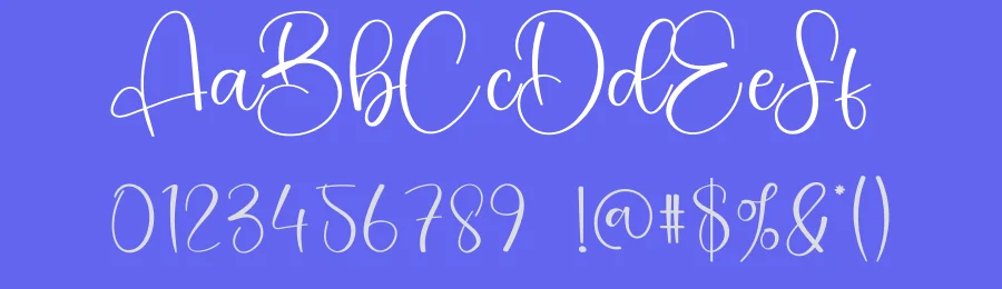 Cactus Calligraphy Font by creativeletter — Script Handwritten Font — thumbnail 3
