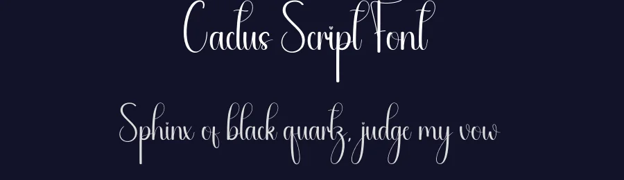 Cactus Script Font by andikastudio — Script Handwritten Font — thumbnail 2