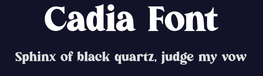 Cadia Font by MaikoHatta — Serif Font — thumbnail 2