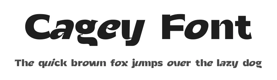 Cagey Font by Graphicfresh — Sans Serif Font
