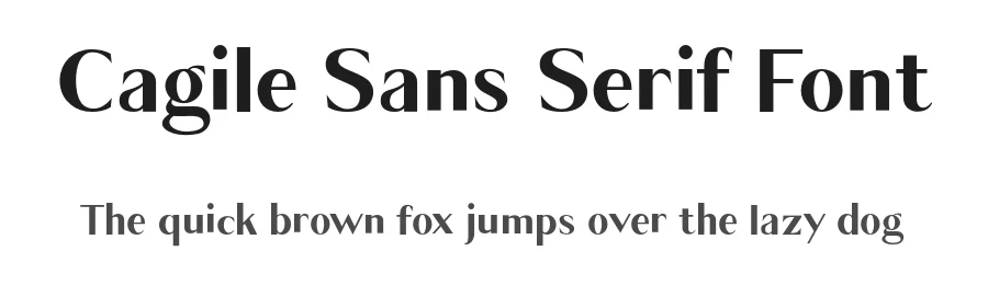 Cagile Sans Serif Font by JavaPep — Sans Serif Font