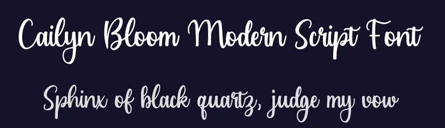 Cailyn Bloom Modern Script Font by balpirick — Script Handwritten Font — thumbnail 2
