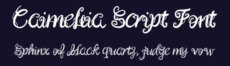 Caimellia Script Font by Dhabee — Script Handwritten Font — thumbnail 2