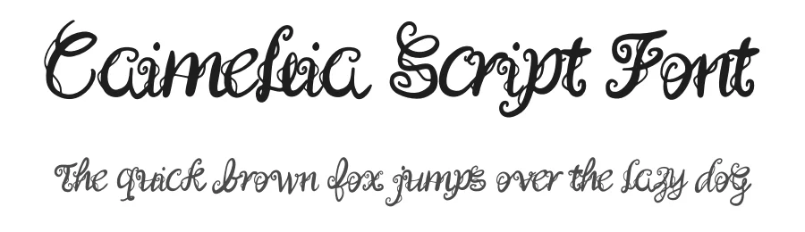 Caimellia Script Font by Dhabee — Script Handwritten Font