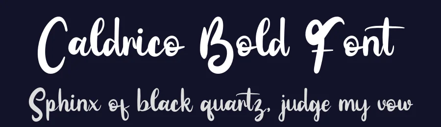 Caldrico Bold Font by Creatifontstudios — Script Handwritten Font — thumbnail 2