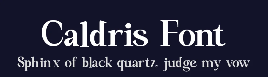 Caldris Font by Rafis Type — Serif Font — thumbnail 2