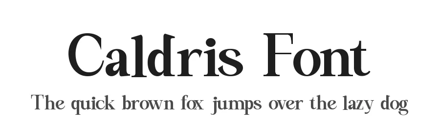 Caldris Font by Rafis Type — Serif Font
