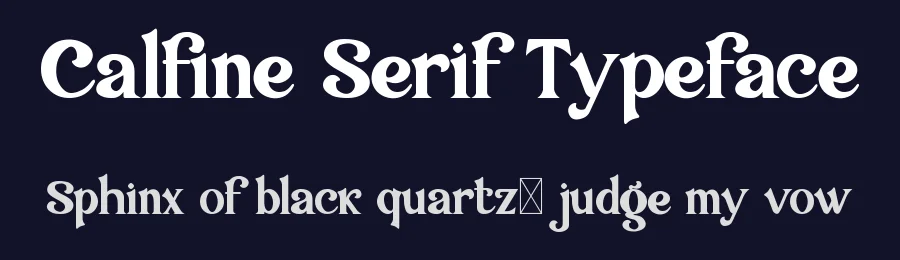 Calfine Serif Typeface by Ronny_STD — Serif Font — thumbnail 2