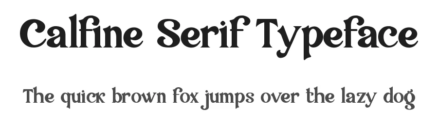 Calfine Serif Typeface by Ronny_STD — Serif Font