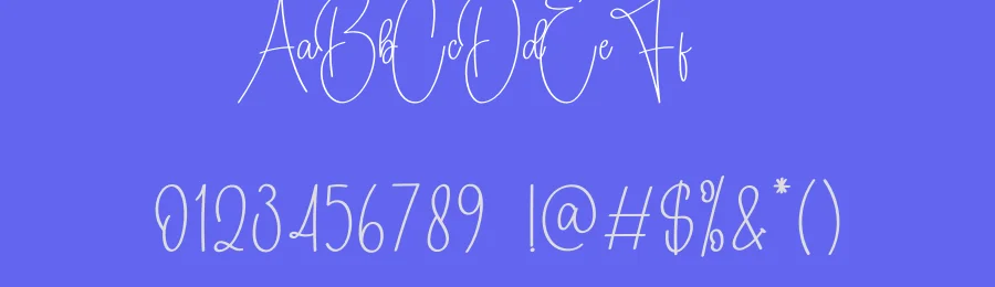 California Signature Script Font by creativeletter — Script Handwritten Font — thumbnail 3