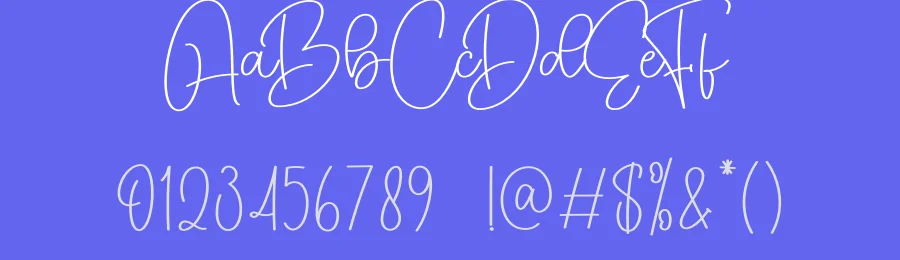 Calina Signature Script Font by creativeletter — Script Handwritten Font — thumbnail 3