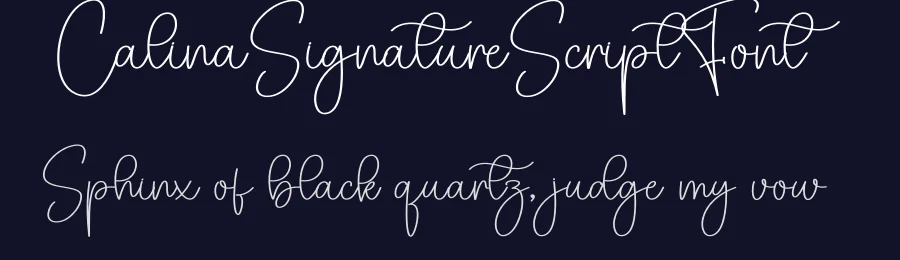 Calina Signature Script Font by creativeletter — Script Handwritten Font — thumbnail 2