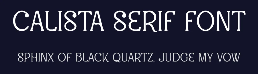 Calista Serif Font by vpcreativeshop — Display Font — thumbnail 2