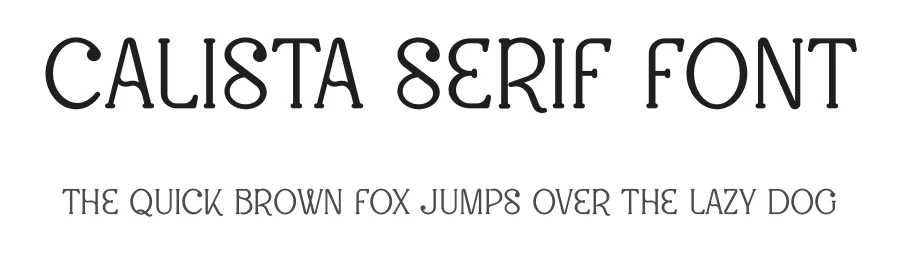 Calista Serif Font by vpcreativeshop — Display Font