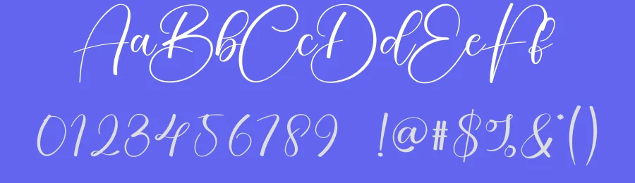 Calistha Calligraphy Font by creativeletter — Script Handwritten Font — thumbnail 3