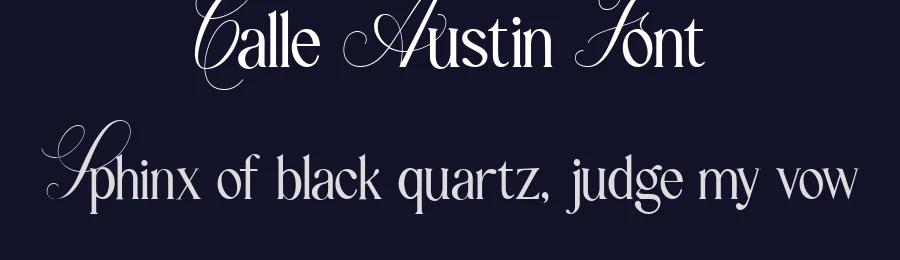 Calle Austin Font by Lettermine — Display Font — thumbnail 2