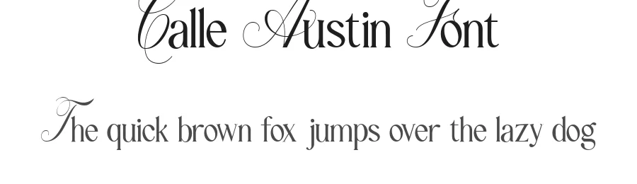 Calle Austin Font by Lettermine — Display Font