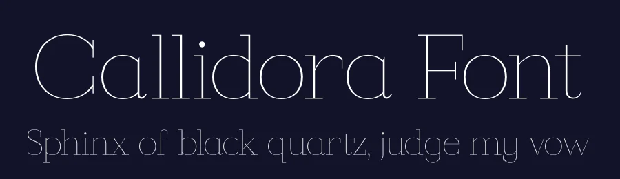 Callidora Font by Storytype — Serif Font — thumbnail 2