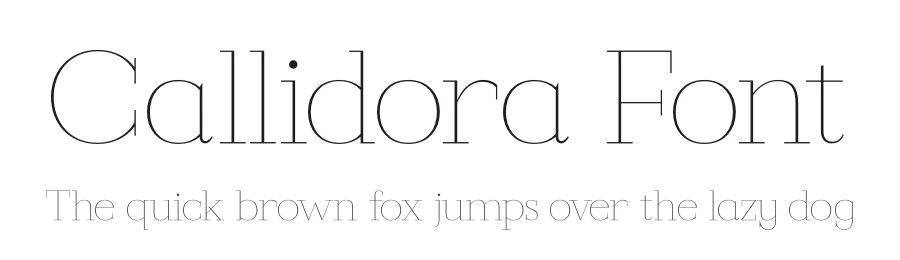 Callidora Font by Storytype — Serif Font