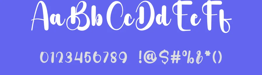 Calligraphy Handmade Script Font by freshtypeink — Script Handwritten Font — thumbnail 3