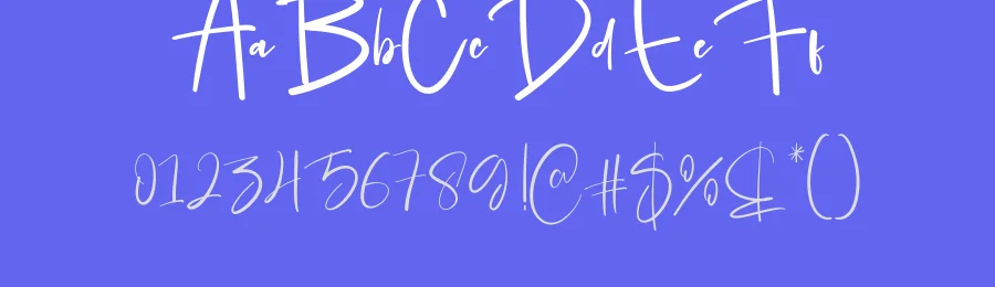Calligraphy Signature Font by creativeletter — Script Handwritten Font — thumbnail 3