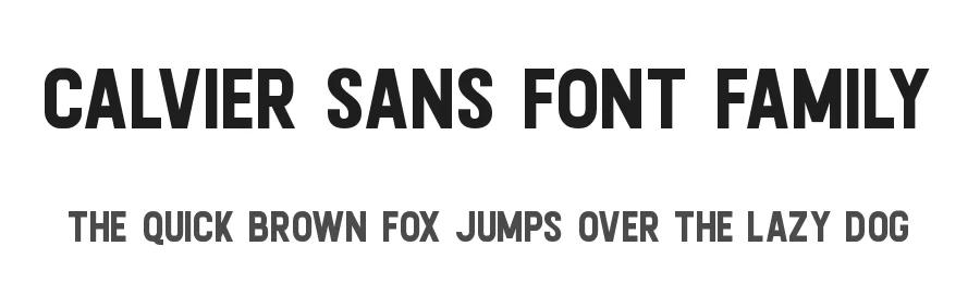 Calvier Sans Font Family by MLKWSN β Sans Serif Font